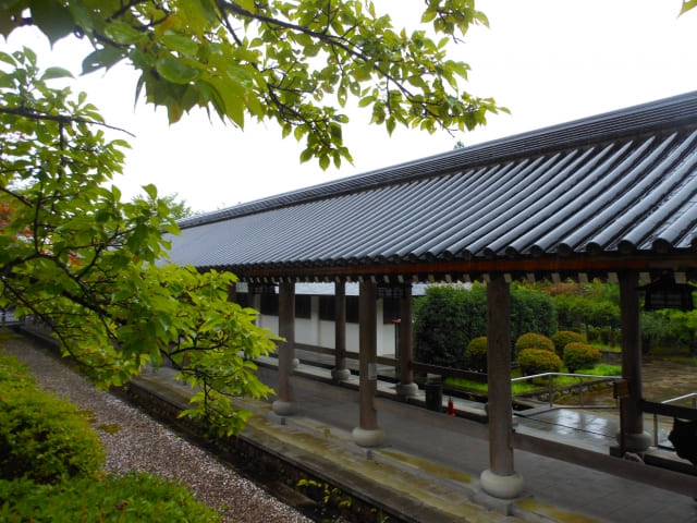 宿坊の廊下のイメージ。木の床が続く静かな空間