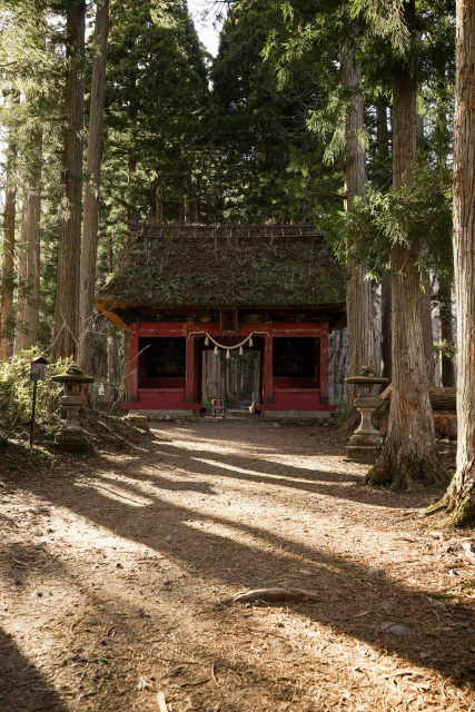 戸隠神社 奥社 随神門
