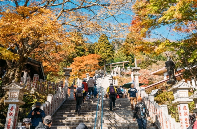 紅葉シーズンに大山観光に登る人たち